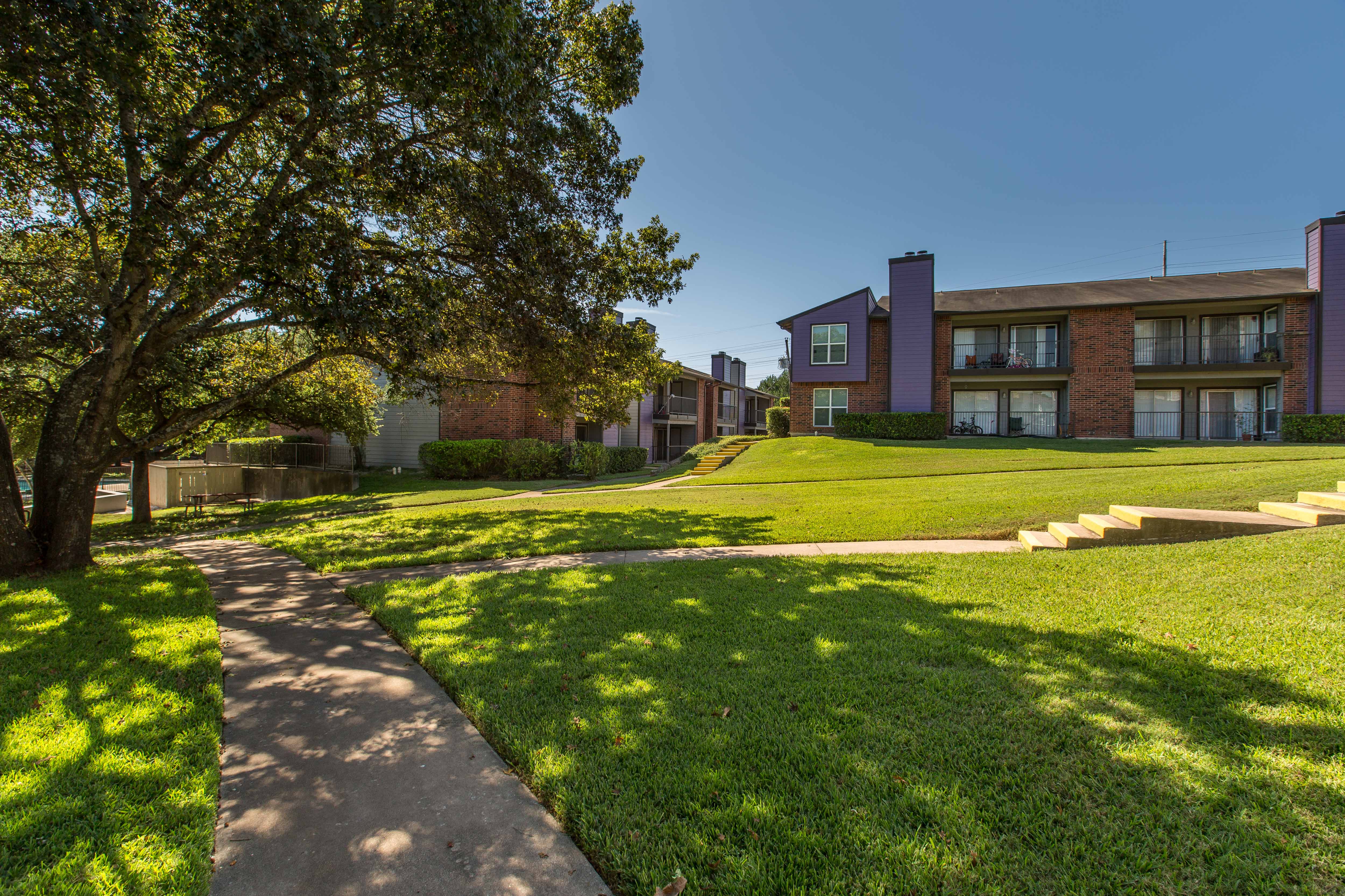 Photos and Video of The Violet in Austin, TX